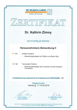 2019 Herausnehmbare Behandlung 2